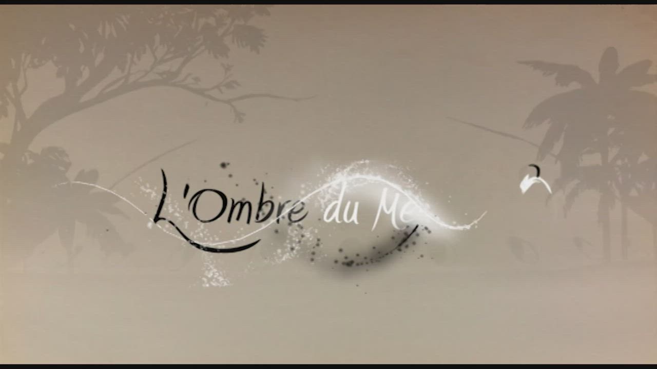 Décision finale